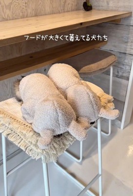 まるでうさぎさんみたい