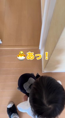 犬を見つけて立ち止まる男の子