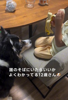 バナナをちぎる息子さん