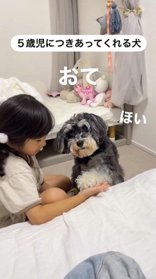 女の子の手に前足を乗せる犬