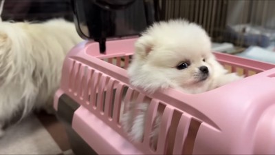 「みんな優しそう…」