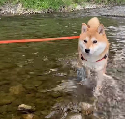 「え…僕ってすごい…？」