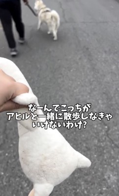 速やかに手放しました