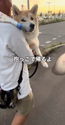 抱っこされて得意げな表情の犬