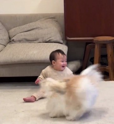 追いつかない赤ちゃん