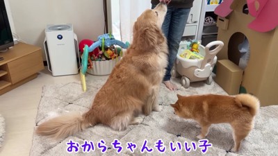 みんなとっても賢いね♪