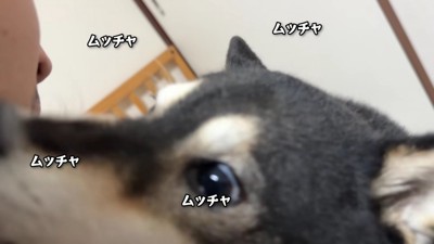 突然ヒゲを舐める一幕も…