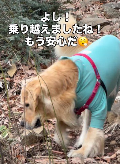 「おじいちゃん頑張ったね！」