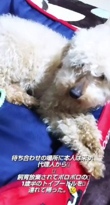 ボロボロの状態…