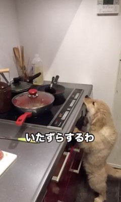何を企んでる？