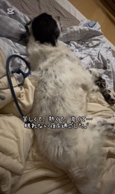 テトくんが幸せを掴むまで5