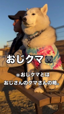 弟を見つめるマーリーちゃん