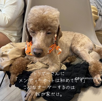 目を細める犬