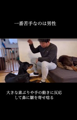 豹馬くんの変化6