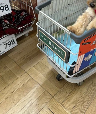 ペット専用カートに乗る犬の前足