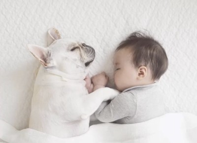 眠る赤ちゃんに寄り添う犬