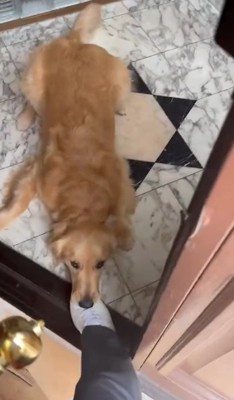 「いかないで…」