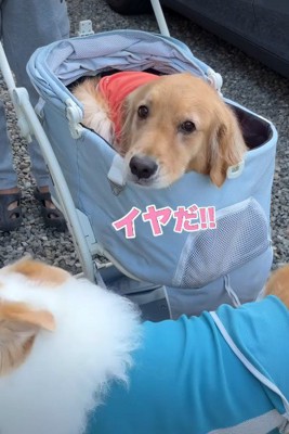 「イヤ!」