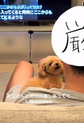 一声吠えるあられちゃん