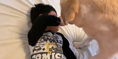 男の子を起こすバウくん5