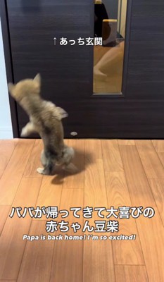 パパが帰ってくる！！