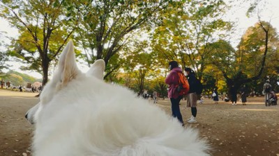 犬の背中越しに森と女性2人