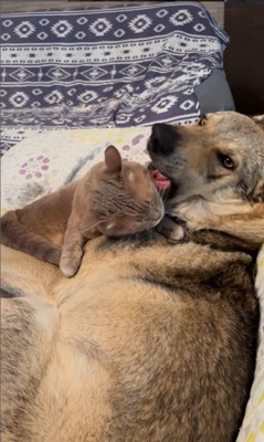 ワゾウスキくん&マイキーくん6