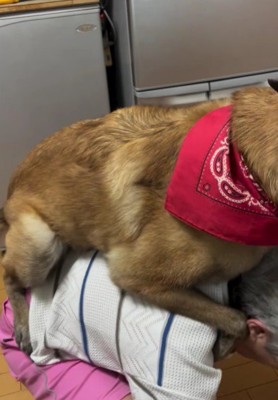 ウルルちゃんが飛びついたのは…