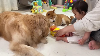 おやつを食べたあとは…