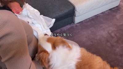 クンクンとニオイを確認