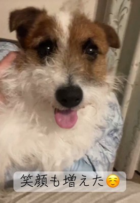 現在のマウイちゃん