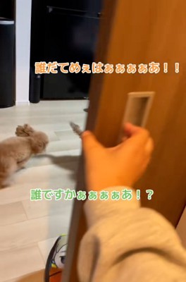 扉を閉める妹さん