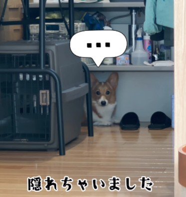 また鳴るかもしれない…