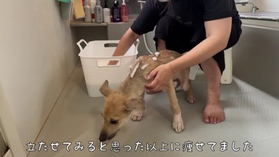 センちゃんは怖くてブルブル…