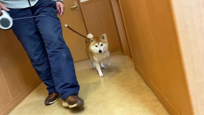 注射が大の苦手!