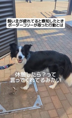 ジッピーくんの気遣い4