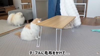 2匹とも興味津々