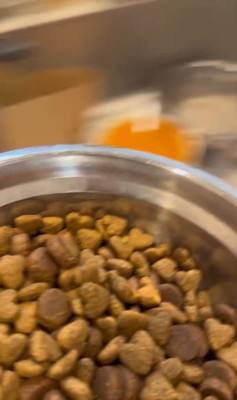 できあがった調理済みごはん