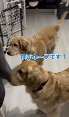 順番にやってくる