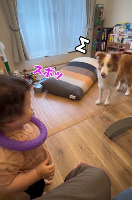 おもちゃを首にかける子供と向かい合っている犬