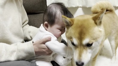 フワフワを堪能したら…