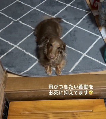 全力で葛藤中