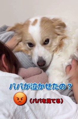 パパを睨みつけるライトちゃん