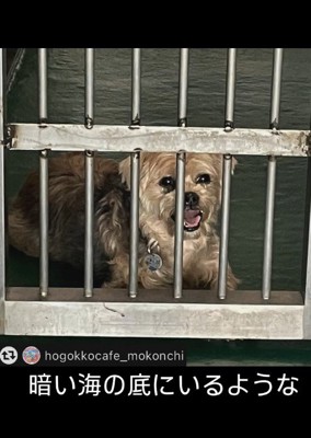 「もう処分してほしい」