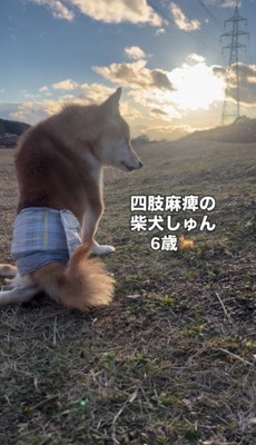 四肢が麻痺したしゅんくん