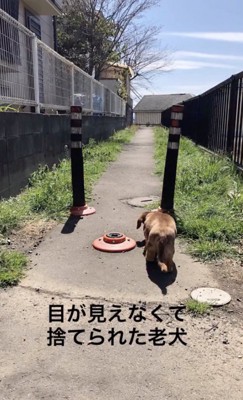 ジョンくんの辛すぎる過去