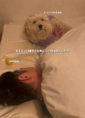 布団のそばでじっと見守る犬