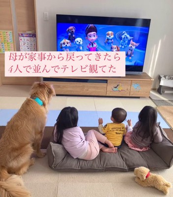 並んでテレビを眺める4兄妹