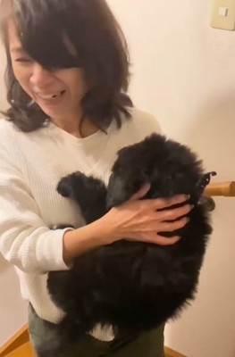 「どうしたの～！」