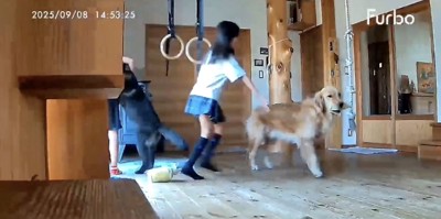 「ただいまー！」